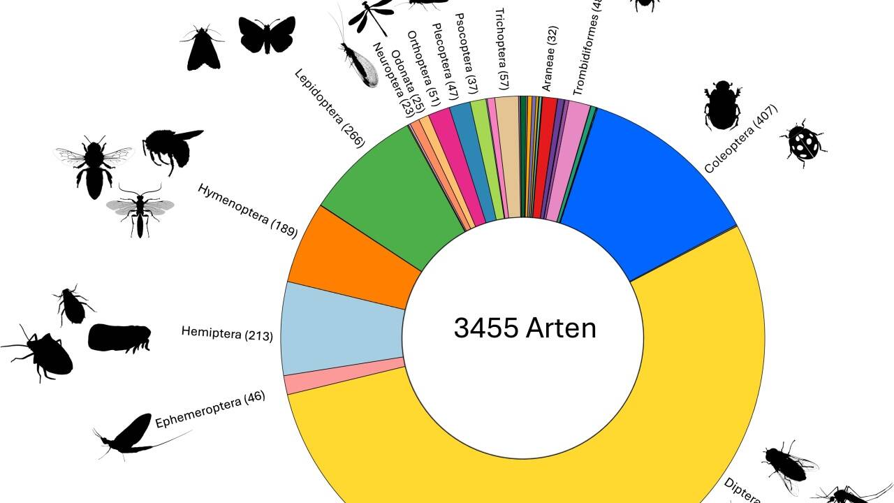 Insgesamt stellte das Team 3455 verschiedene Arten nach.  