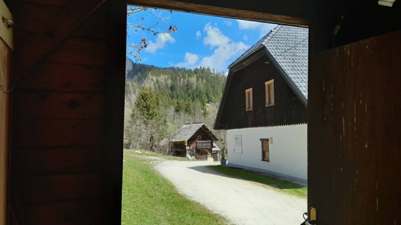 Der Per?manhof in Kärnten war 1945 Schauplatz eines NS-Massakers 