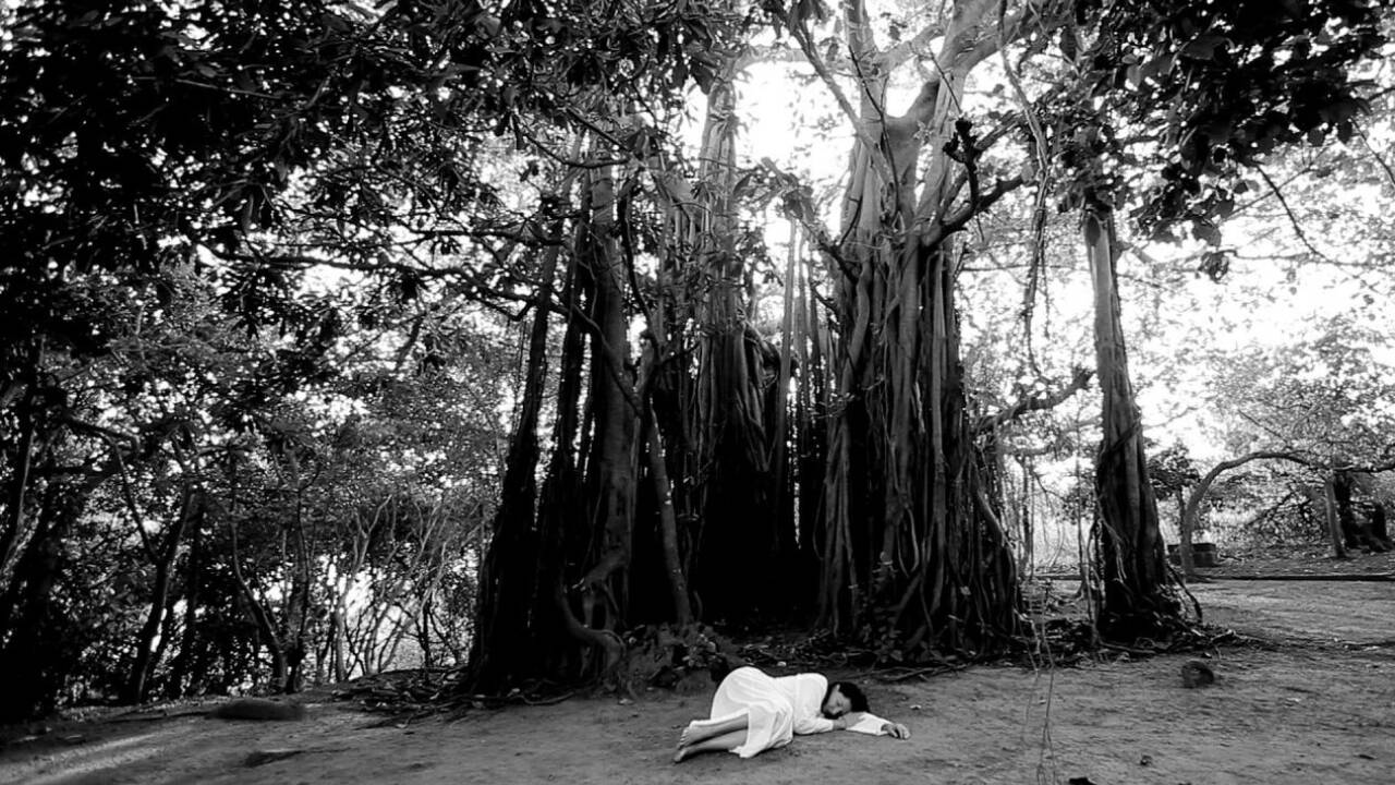 Marina Abramovic, Sleeping Under the Banyan Tree, 2010, Performance für Video, 56 Minuten 43 Sekunden<br /> Marina Abramovic, Sleeping Under the Banyan Tree, 2010, Performance für Video, 56 Minuten 43 Sekunden<br />