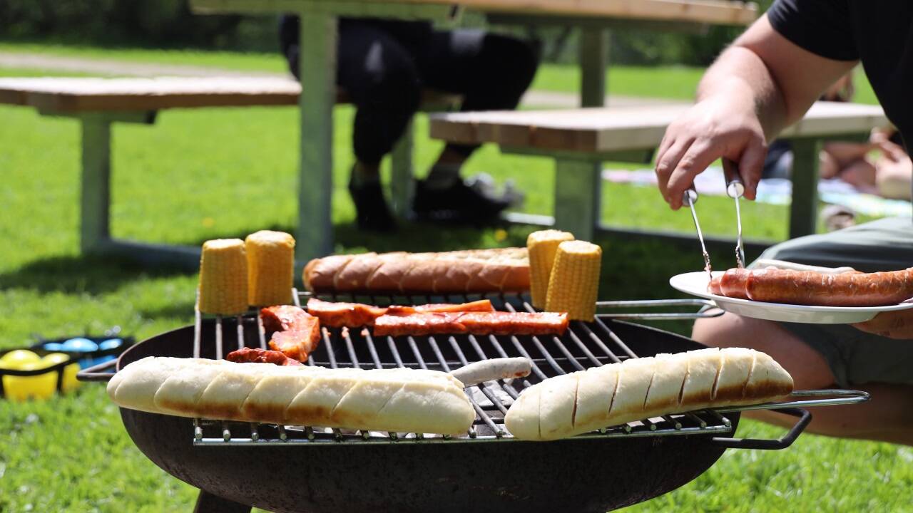 Seit Ende April gibt es die öffentlichen Grillplätze am Karlsbader Weiher. Auch kommendes Jahr soll es das Angebot wieder geben. 