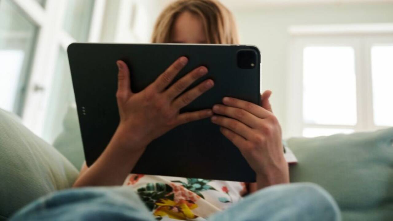 Tech-Konzerne zu Auskünften über Sicherheitsvorkehrungen aufgefordert 