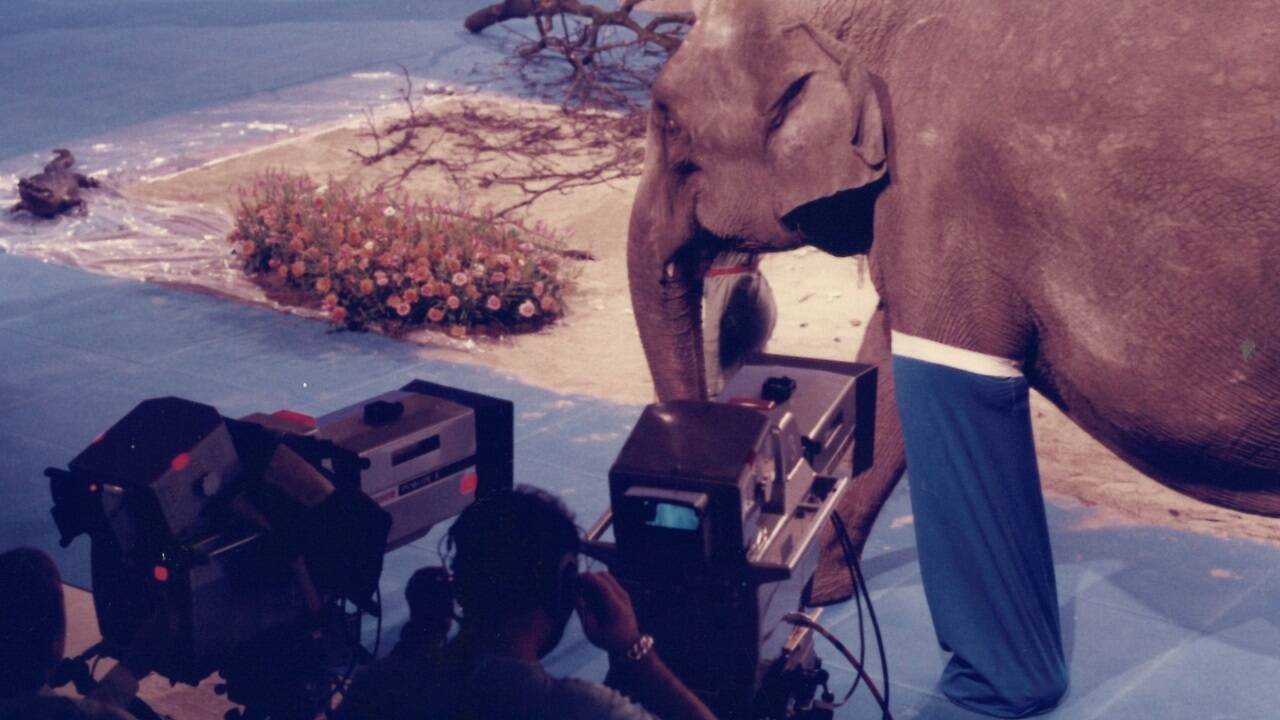 Eine von vielen Anekdoten aus einer vergangenen TV-Welt: Der Elefant hatte im Studio keine Freude mit seinem Strumpf.  