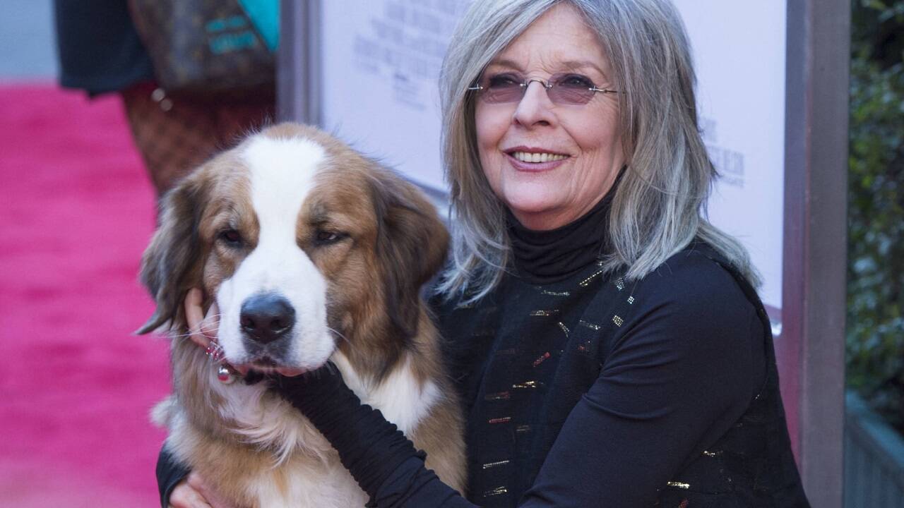 Schauspielerin Diane Keaton starb mit 79 Jahren.  