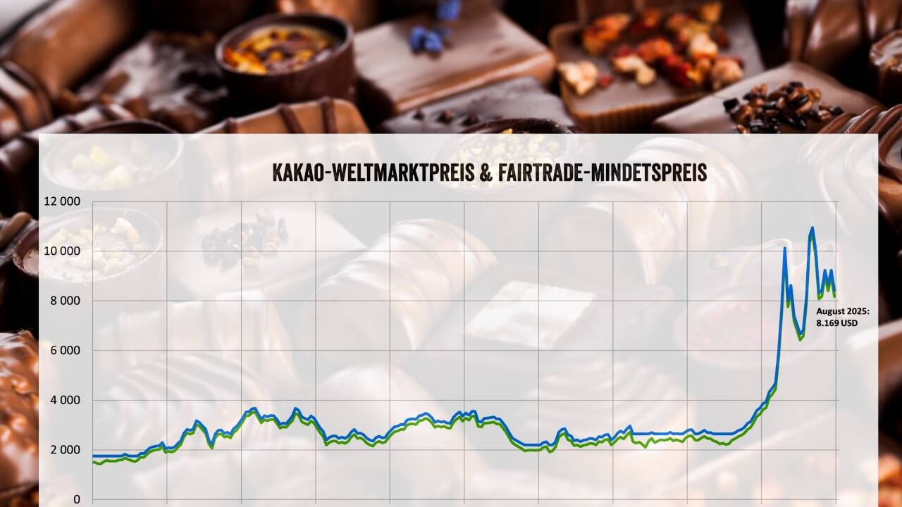 Die Entwicklung der Preise für Kakao.  