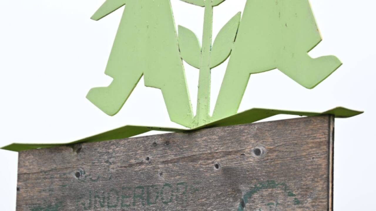 SOS-Kinderdorf - 26 Meldungen seit 'Falter'-Artikel 