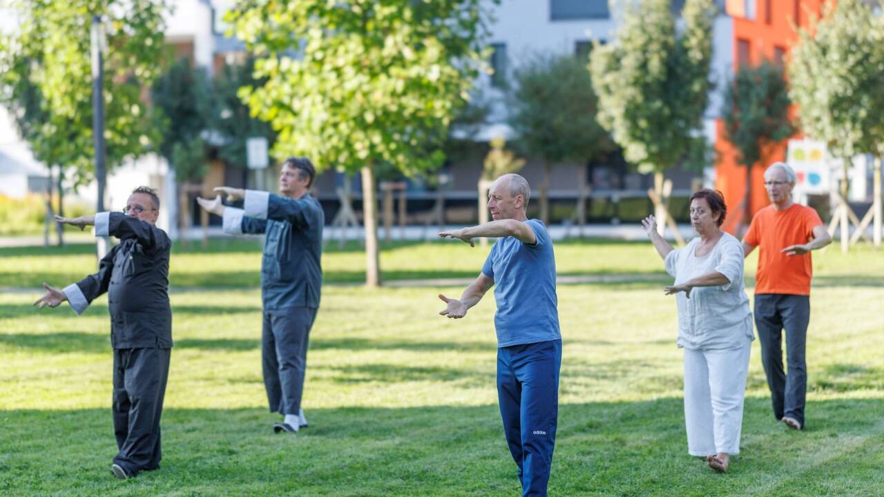 Tai-Chi stammt der Legende nach aus dem 12. Jahrhundert nach Christus und entstand durch eine meditative Ableitung des Kung-Fu.  
