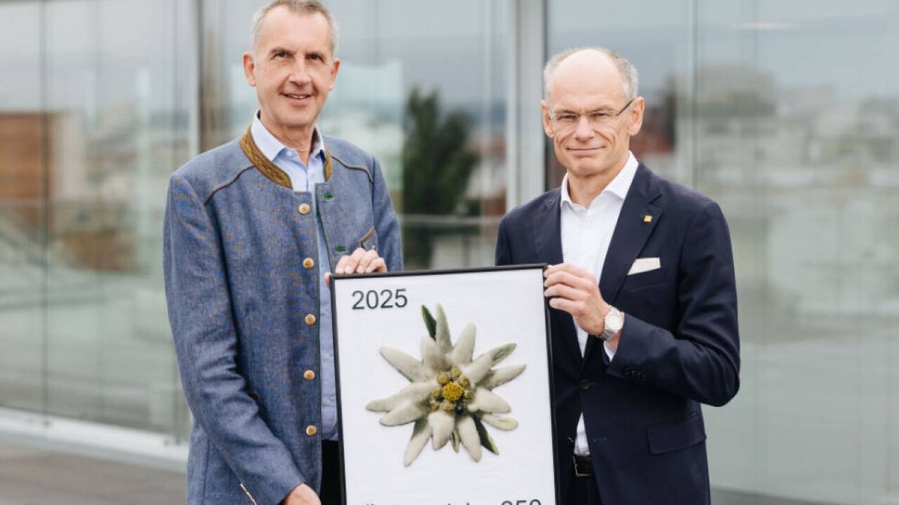 Edelweißblüte ist weich und biegsam 