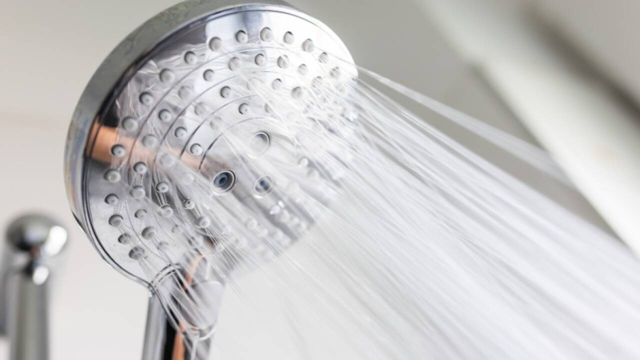 Legionellen werden durch vernebeltes Wasser übertragen 