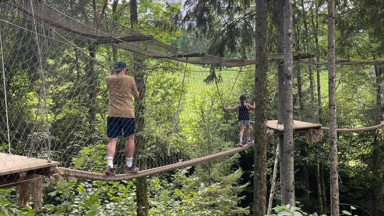 Bis zu 20 Meter hoch über dem Waldboden bewegt man sich am Hahnbaum zwischen den Baumwipfeln.  