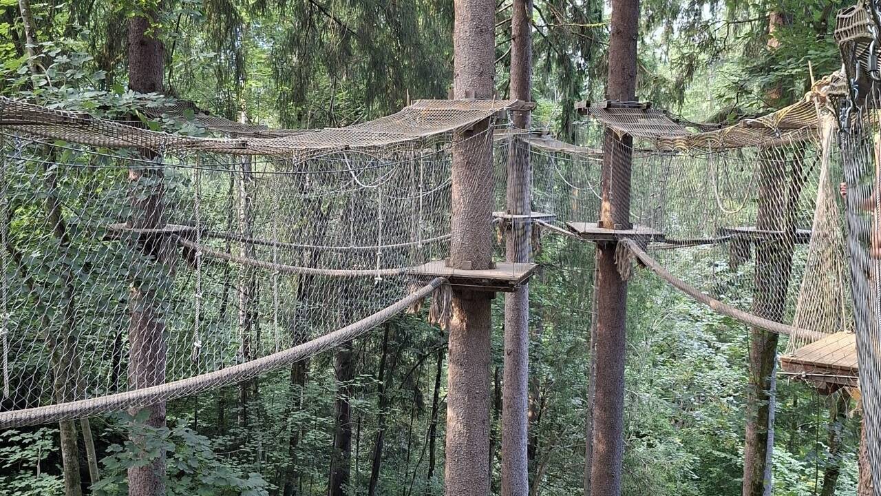 Vier Routen zählt der Baumparcours.  