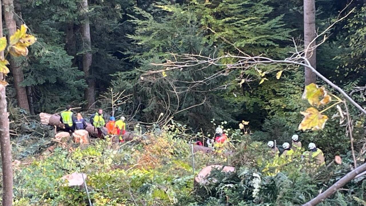 Ein Arbeiter war unter einen umgeschnittenen Baum geraten.  