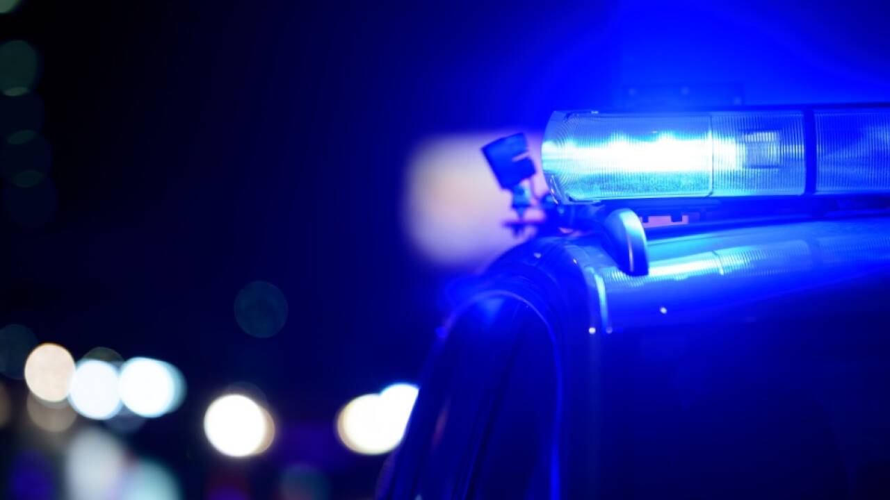 Lenker wollte noch ausweichen Lenker wollte noch ausweichen