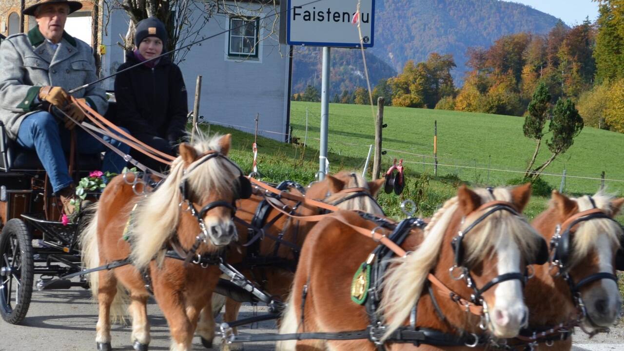 Leonhardiritt in Faistenau. 
