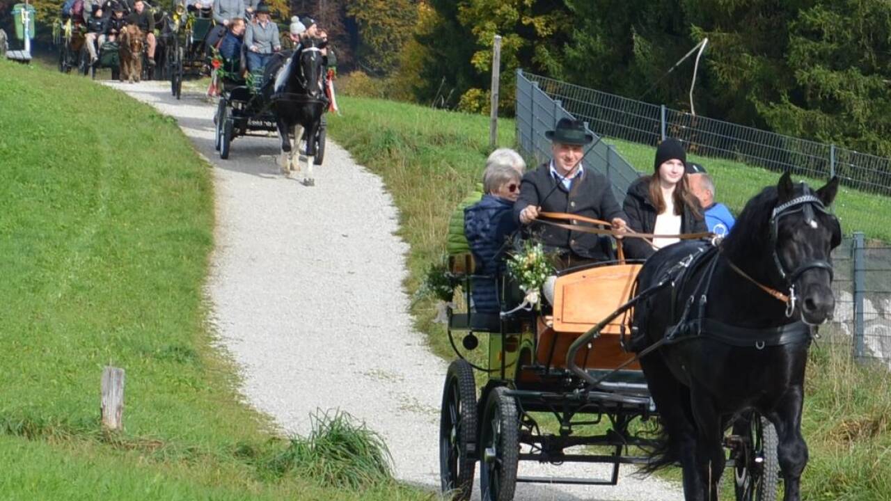 Leonhardiritt in Faistenau. 
