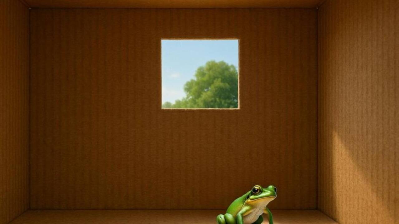 Der hypothetische Frosch braucht den 'Türzustand', um aus dem Material herauszukommen 