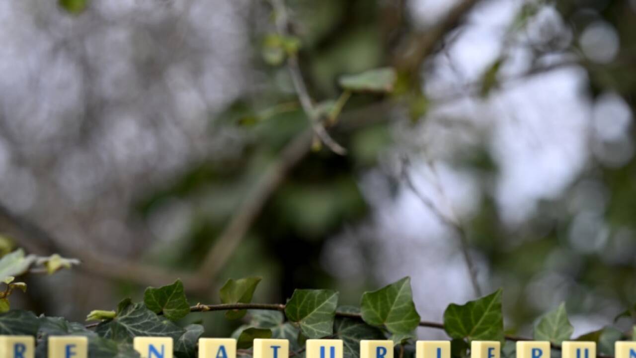 'Renaturierung' war das Wort des Jahres 2024 