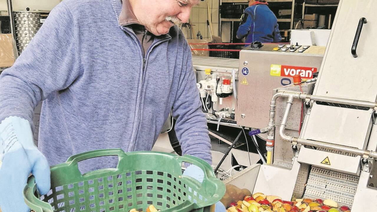 Christian Streitwieser befüllt die Bandpresse mit Äpfeln. Als Richtwert gilt: Aus 100 Kilogramm Äpfel werden in zehn Minuten 70 Liter Saft.   Christian Streitwieser befüllt die Bandpresse mit Äpfeln. Als Richtwert gilt: Aus 100 Kilogramm Äpfel werden in zehn Minuten 70 Liter Saft.