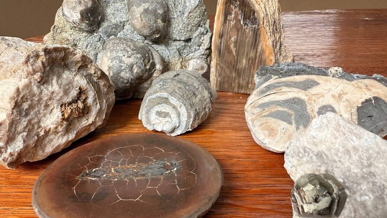 Steinesammlung der Steinmetzin 