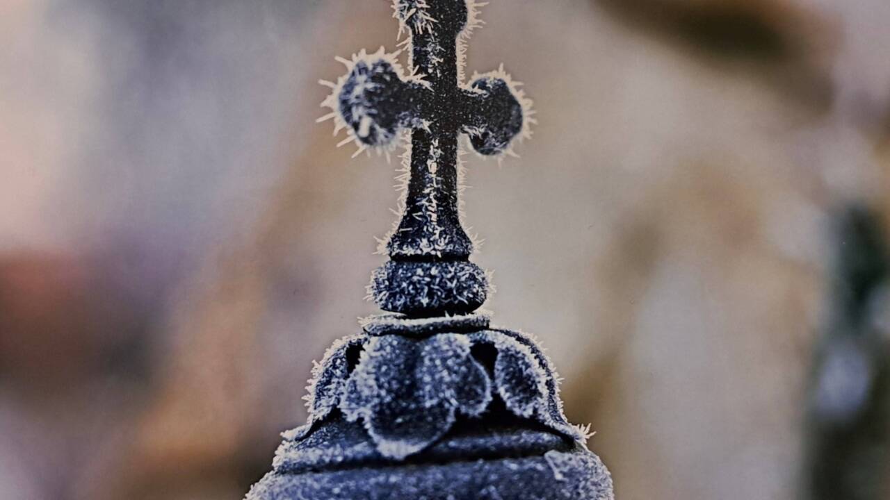 Ein Bild aus dem Kommunalfriedhof. Bild: Cora Gollackner 