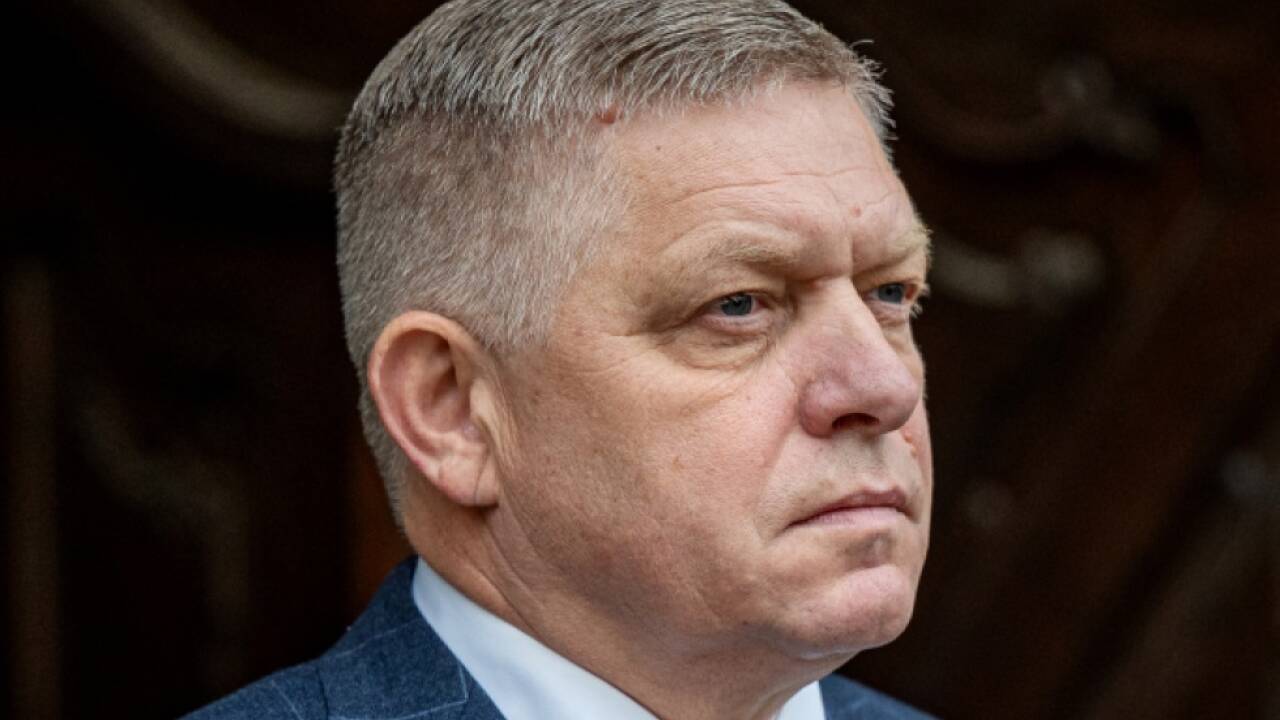 Slowakischer Regierungschef Fico 