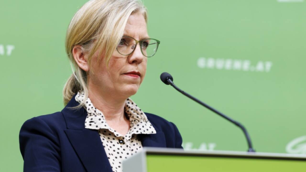 Grüne fordern von der Regierung Transparenz 