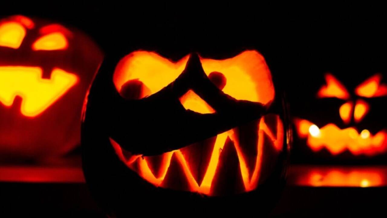 Der Handel freut sich über das Gruselfest Halloween 