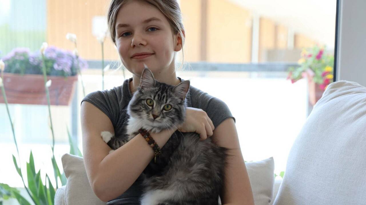 Mira Strobl (12) lernt seit fast zwei Jahren daheim den Gymnasiumstoff. Mira Strobl (12) lernt seit fast zwei Jahren daheim den Gymnasiumstoff.