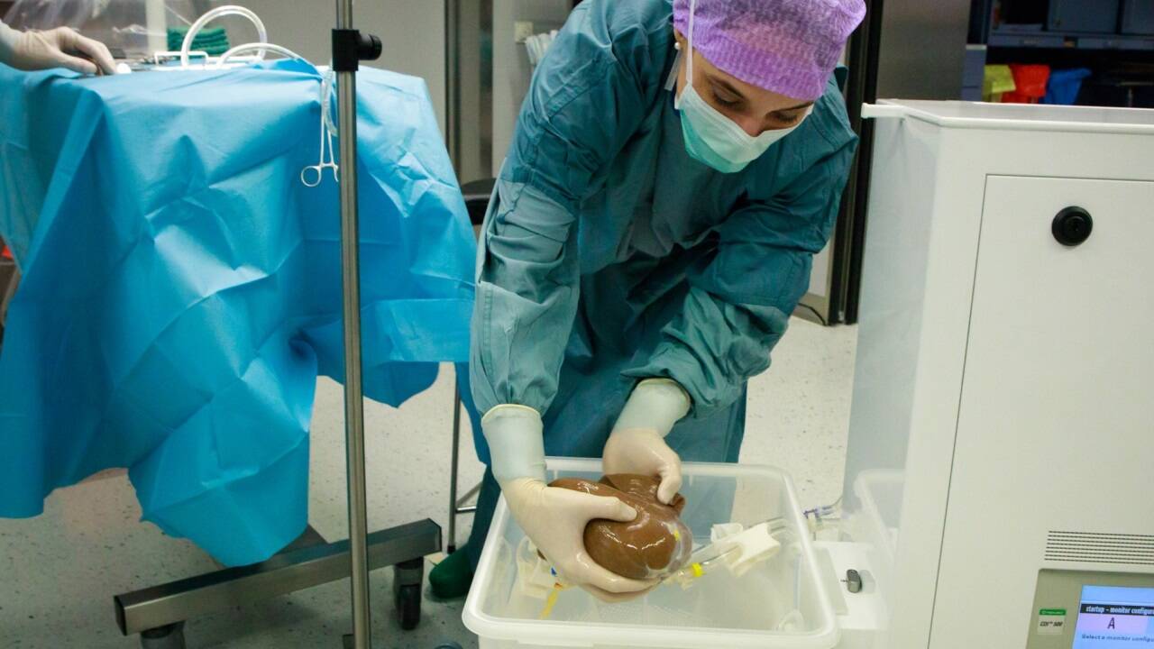 Die normotherme Maschinenperfusion ermöglicht eine optimale Versorgung und Überprüfung des entnommenen Organs. 