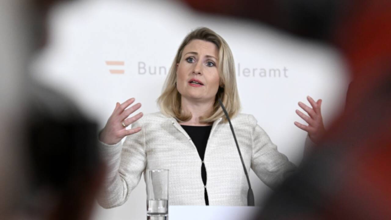 Ex-Integrationsministerin Raab in neuer Rolle (Archivbild) 