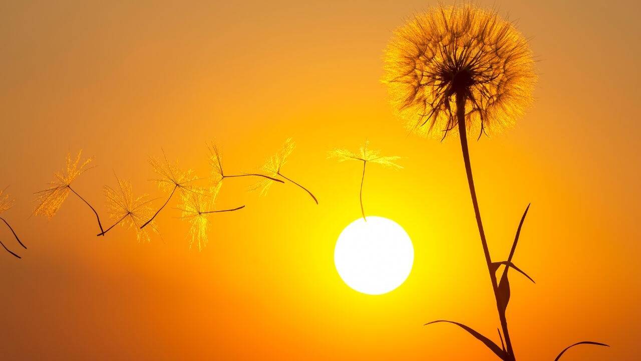 Tod und Trauer sind oft immer noch Tabus in unserer Gesellschaft.  Tod und Trauer sind oft immer noch Tabus in unserer Gesellschaft.