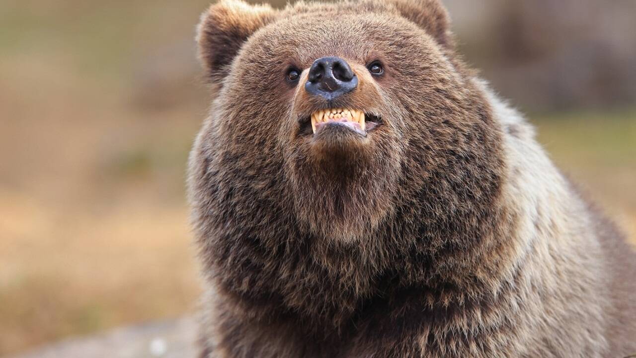 Bitte lächeln! Valtteri Mulkahainen (Finnland) mit dem Bild: „Smile, you're being photographed“. 