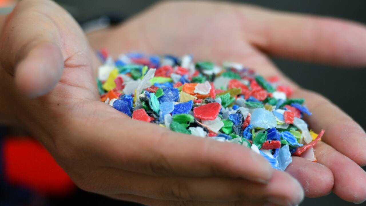 Kunststoffabfälle in der Umwelt als wachsendes Problem  Kunststoffabfälle in der Umwelt als wachsendes Problem