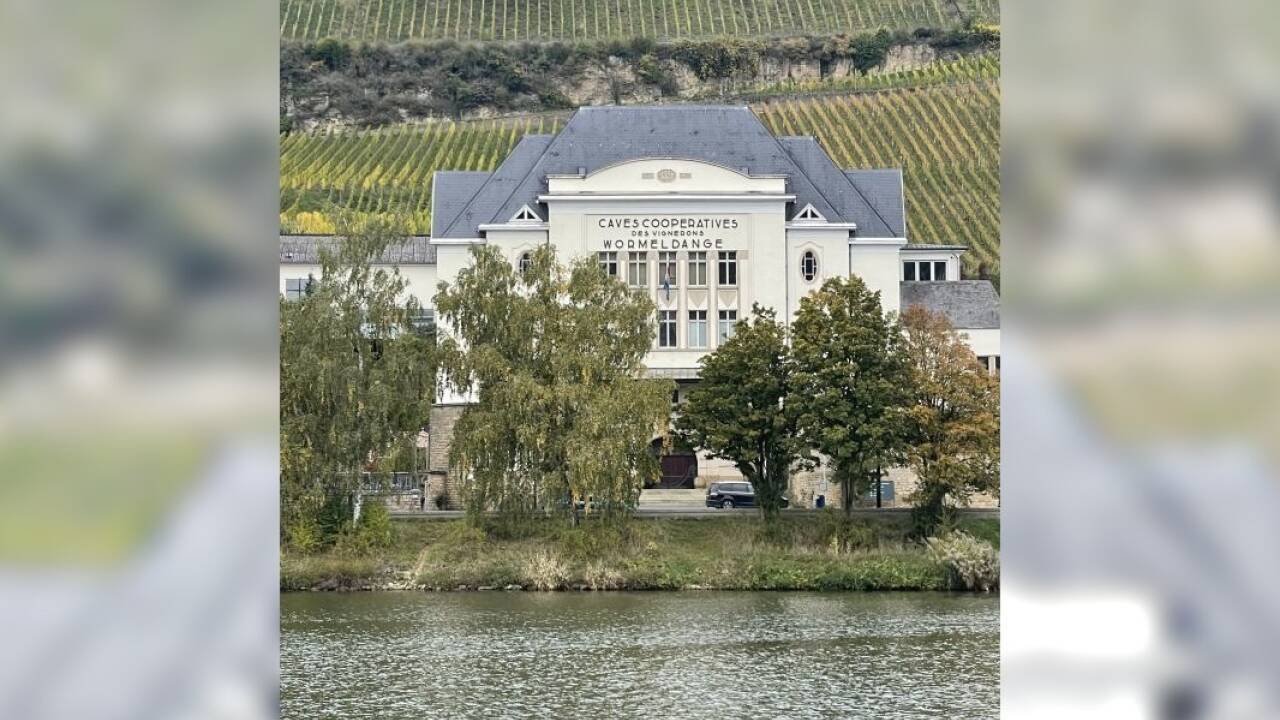 Der Wein brachte Ruhm und Geld in die Region: Wormeldange auf dem luxemburgischen Ufer.  Der Wein brachte Ruhm und Geld in die Region: Wormeldange auf dem luxemburgischen Ufer.