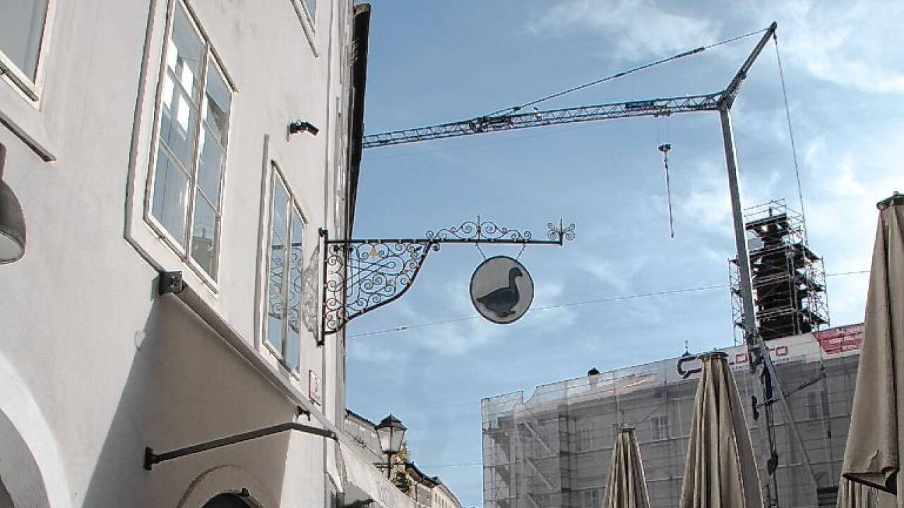 ... und eine blaue Gans auch auf der Herbert-von-Karajan-Platz-Seite.   ... und eine blaue Gans auch auf der Herbert-von-Karajan-Platz-Seite.