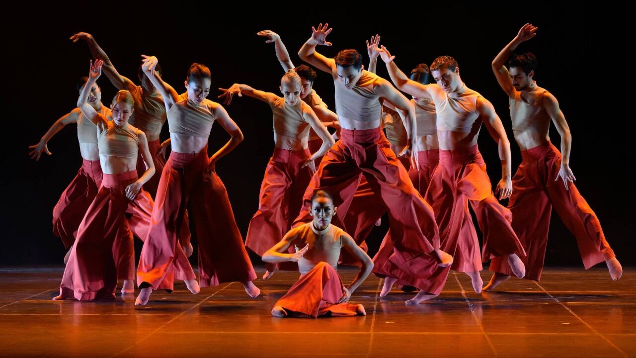 Ballettensemble in „Rosa“  Ballettensemble in „Rosa“