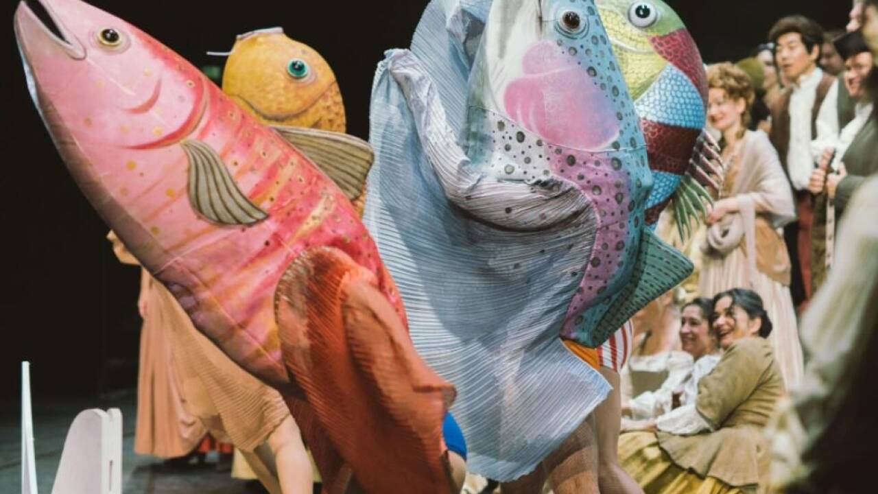 Auch die Makrelen können ihren Spaß nicht verhehlen  Auch die Makrelen können ihren Spaß nicht verhehlen
