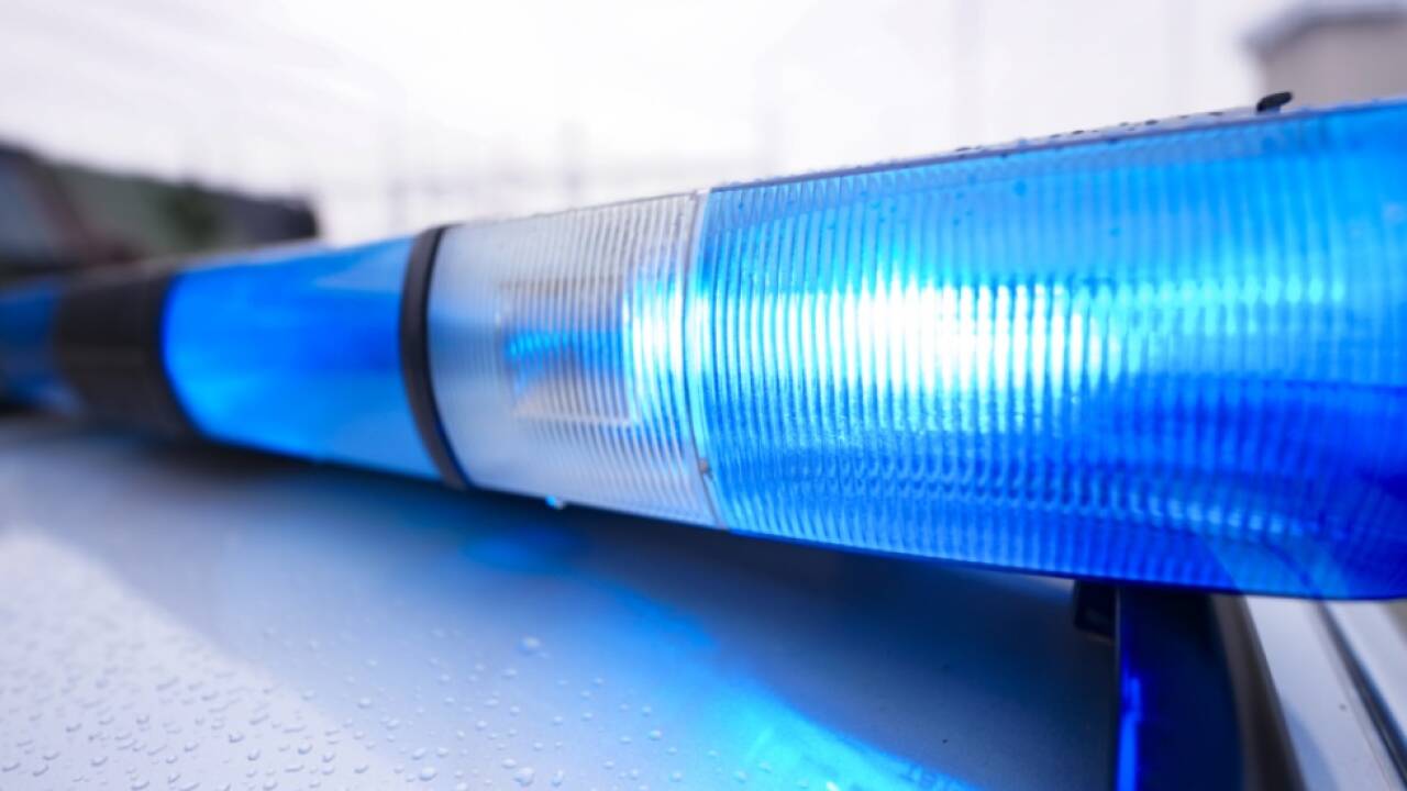Die Polizei nahm den 19-Jährigen fest  Die Polizei nahm den 19-Jährigen fest