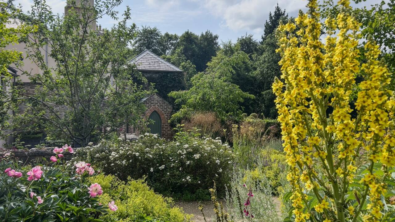 In vielen Gärten rund um Dublin herrscht üppige Blütenpracht.   In vielen Gärten rund um Dublin herrscht üppige Blütenpracht.
