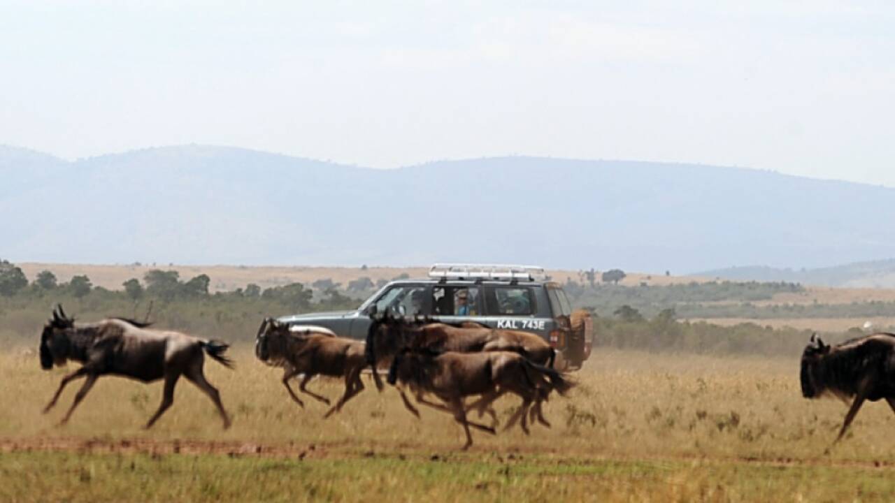 Ziel wäre Nationalpark Masai Mara gewesen  Ziel wäre Nationalpark Masai Mara gewesen