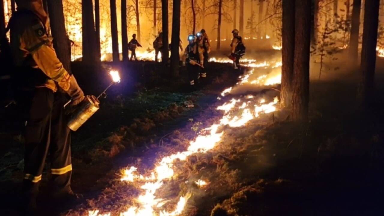 Waldbrandbekämpfung rückt tendenziell weiter in den Fokus  Waldbrandbekämpfung rückt tendenziell weiter in den Fokus
