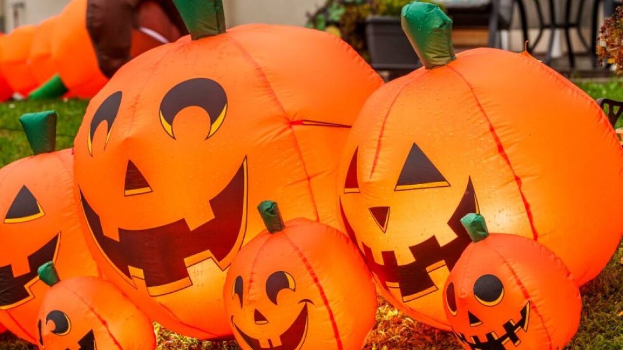 Appelle der Polizei vor Halloween  Appelle der Polizei vor Halloween