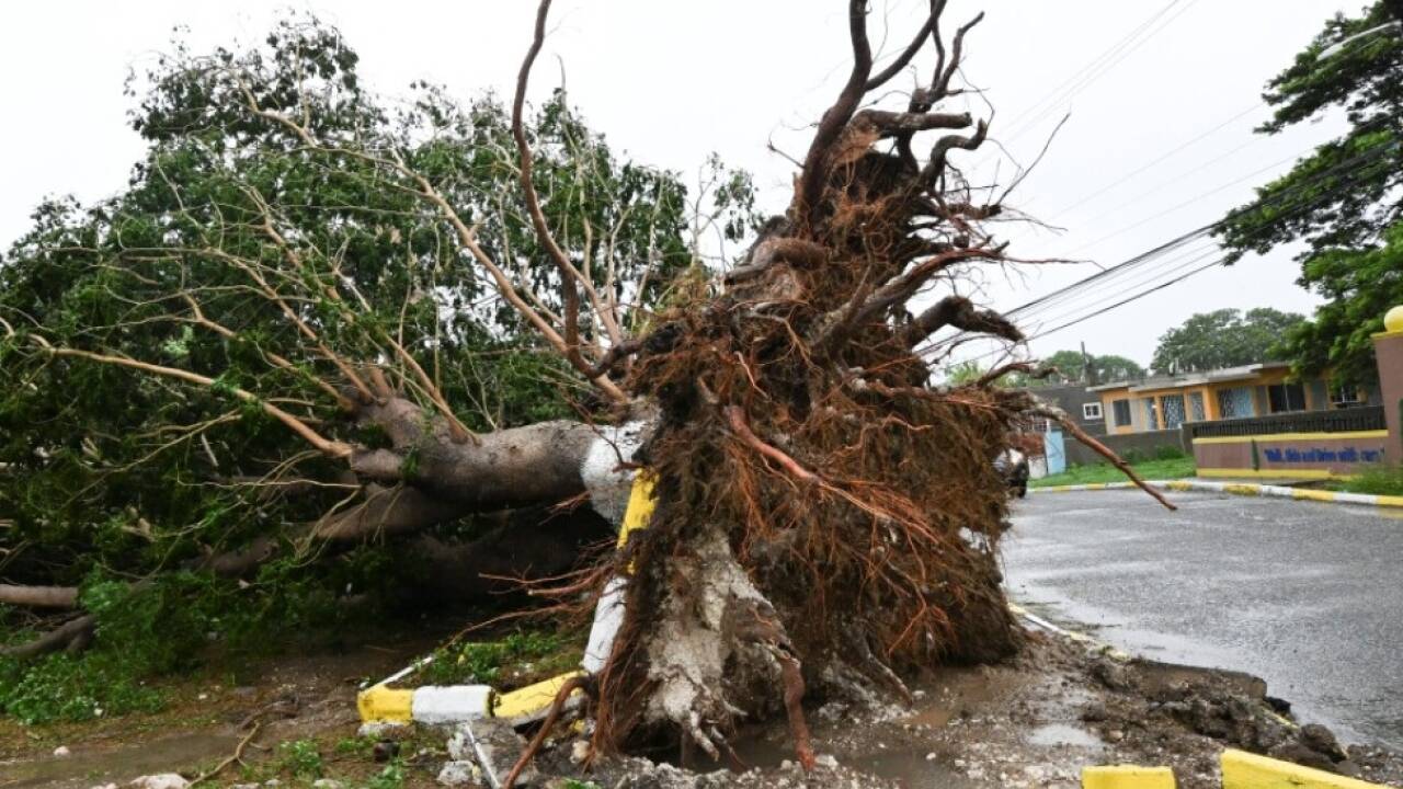 "Melissas" Spuren auf Jamaika  'Melissas' Spuren auf Jamaika
