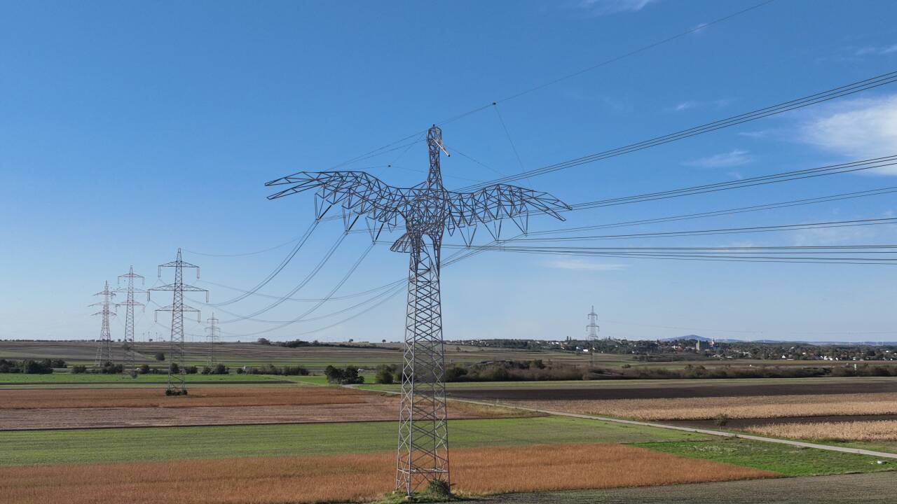 Für das Burgenland ist ein Strommast in Form eines Storches vorgesehen.  Für das Burgenland ist ein Strommast in Form eines Storches vorgesehen.