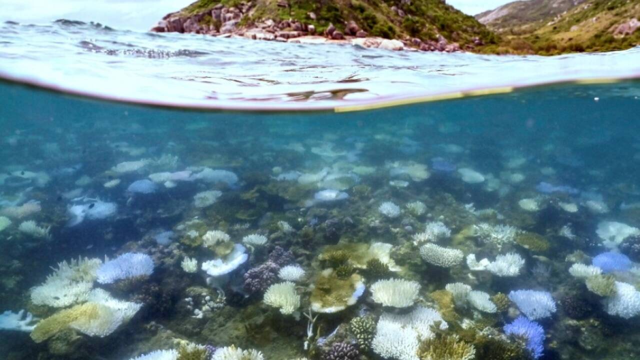 Vorfall unweit des Great Barrier Reef  Vorfall unweit des Great Barrier Reef