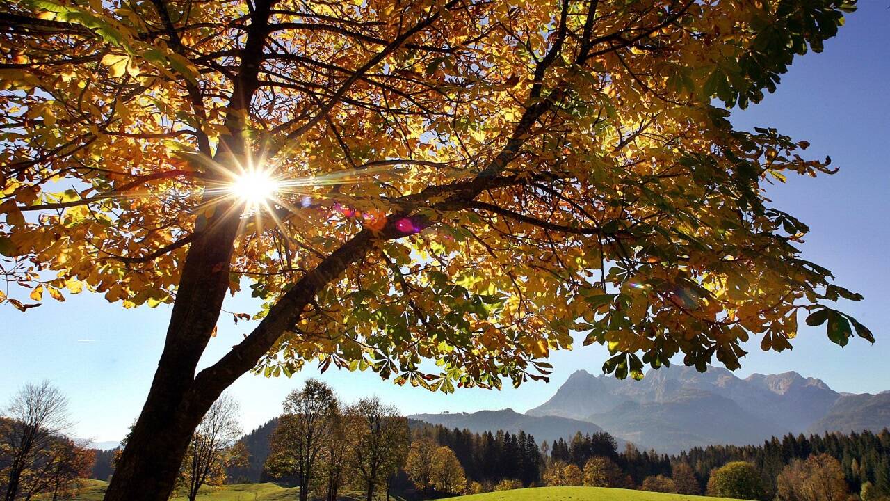 Herbst bei Werfen im Pongau.   Herbst bei Werfen im Pongau.