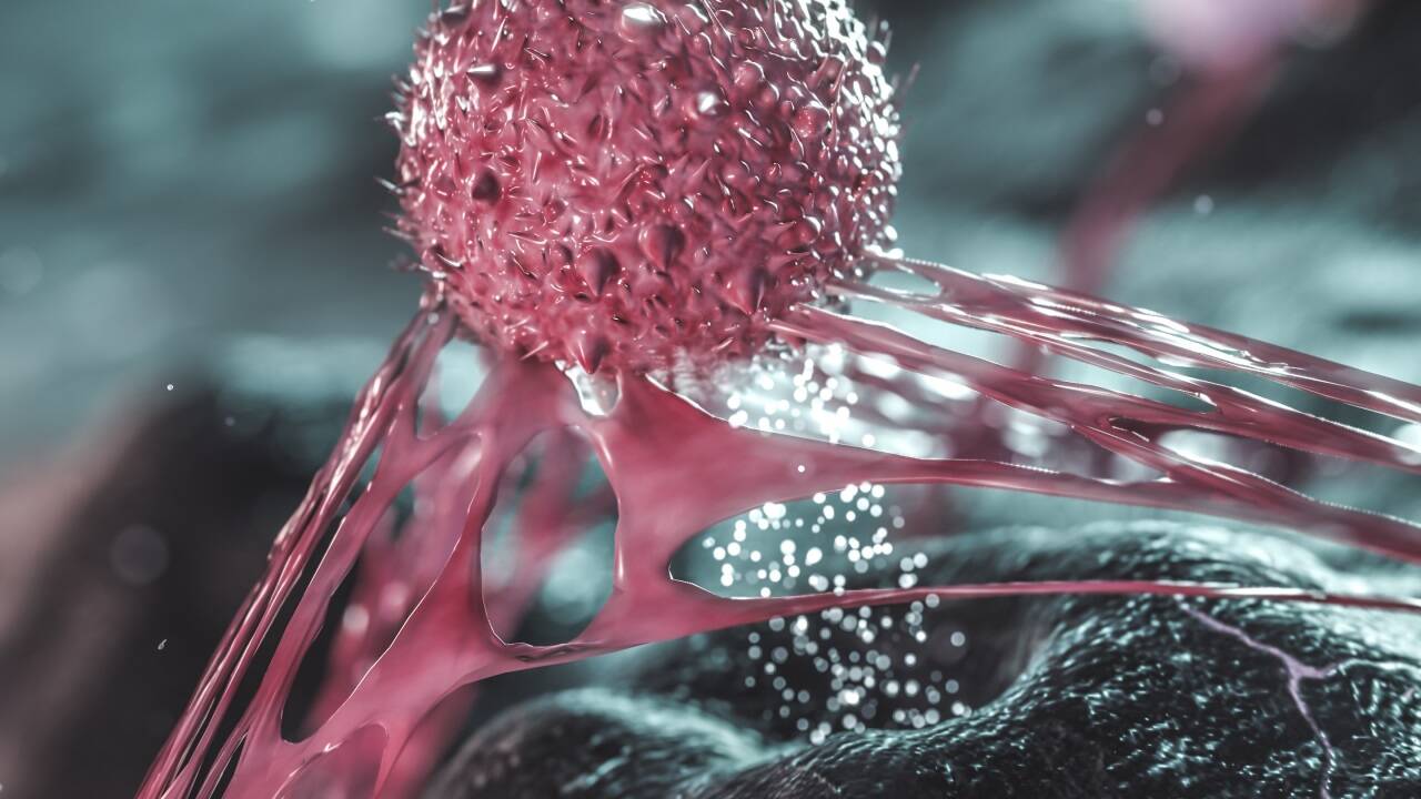 Im Kampf gegen Krebszellen (Symbolbild).  Im Kampf gegen Krebszellen (Symbolbild).