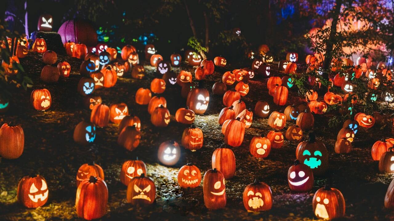 Ein mit Kürbissen dekorierter Hügel in Indianapolis (Indiana).   Ein mit Kürbissen dekorierter Hügel in Indianapolis (Indiana).