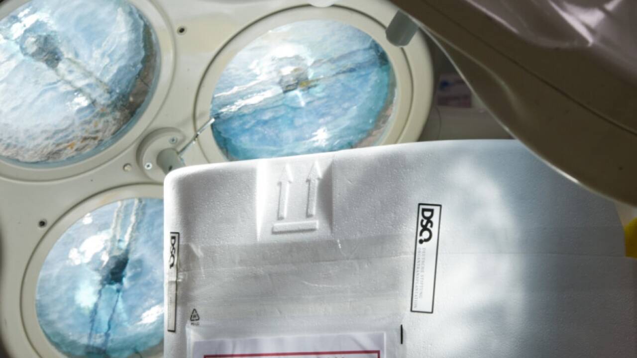 Im Vorjahr wurden in Österreich 637 Organe transplantiert  Im Vorjahr wurden in Österreich 637 Organe transplantiert