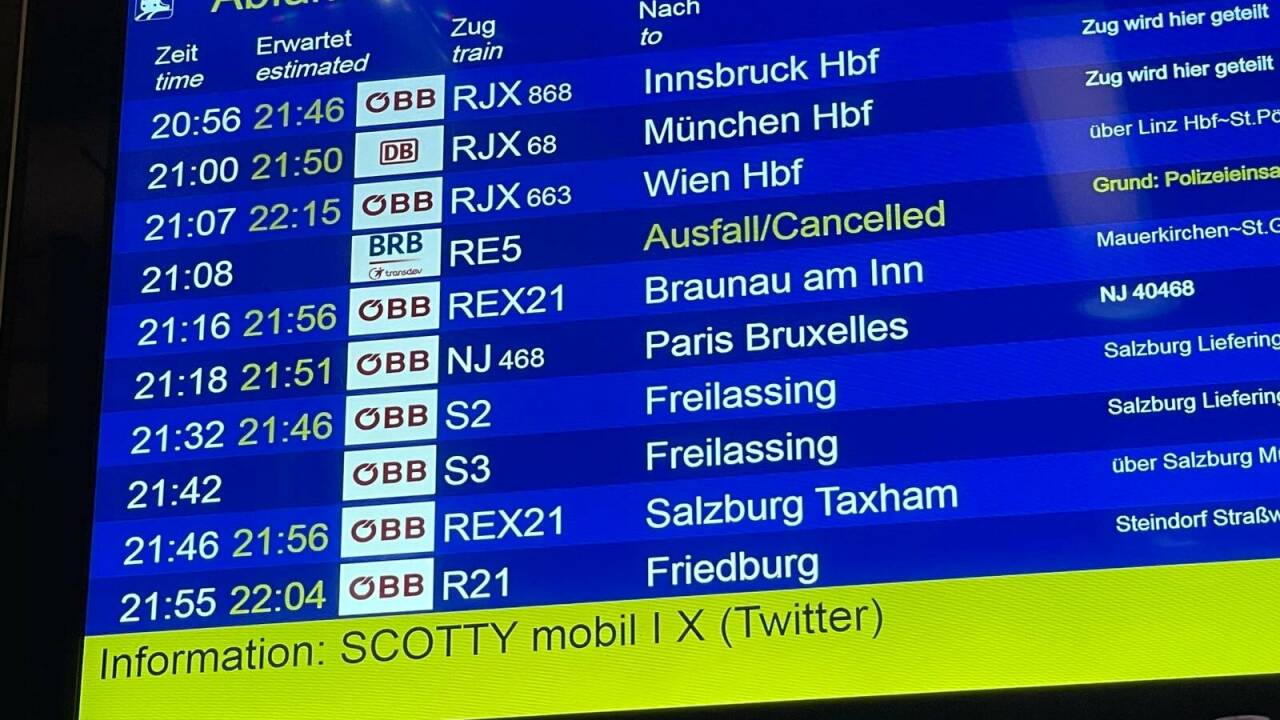 Der Grund für den Polizeieinsatz war ein Wildtierunfall.  Der Grund für den Polizeieinsatz war ein Wildtierunfall.