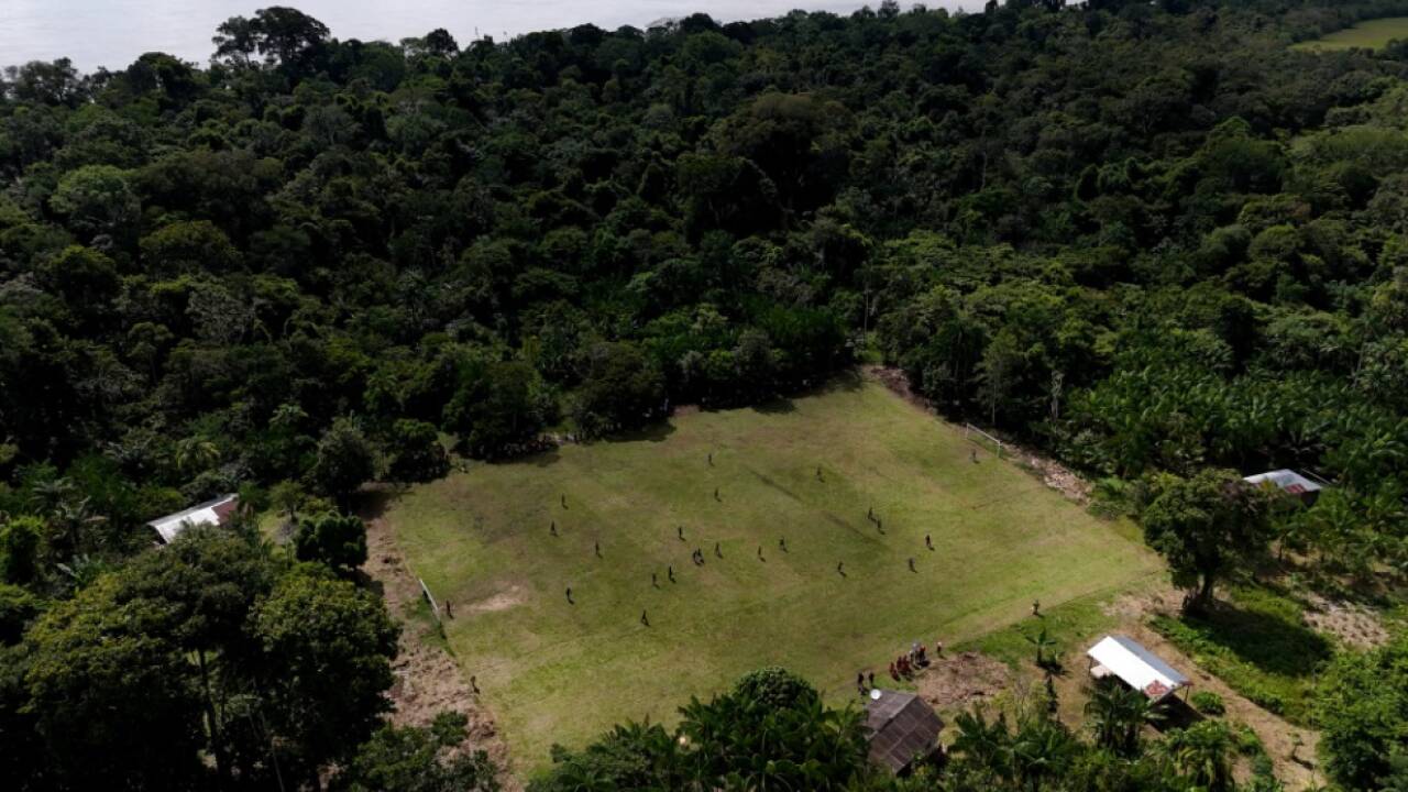 Schutz der Wälder auch bei COP30 zentrales Thema  Schutz der Wälder auch bei COP30 zentrales Thema